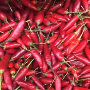 Chillies hot