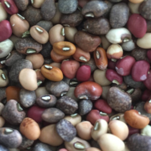 cow peas